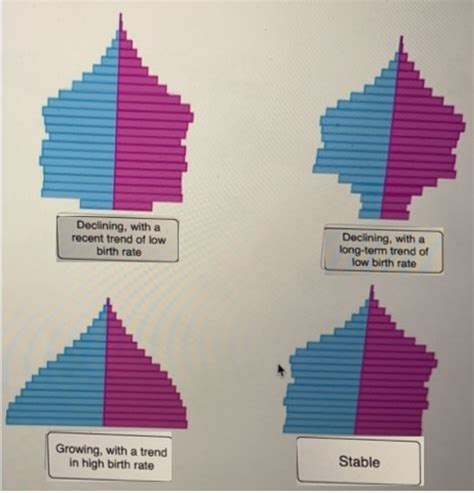 Solved Label The Appropriate Age Structure Diagram With The Provided