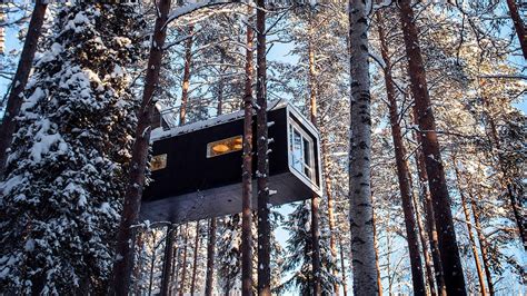 Treehotel Unique Hotel Experience in a tree hotel in Sweden