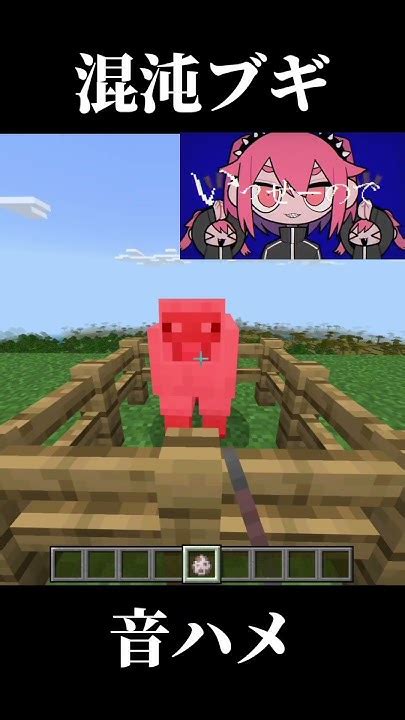 マイクラで混沌ブギ音ハメ マイクラ Minecraft 音ハメ混沌ブギshort Youtube