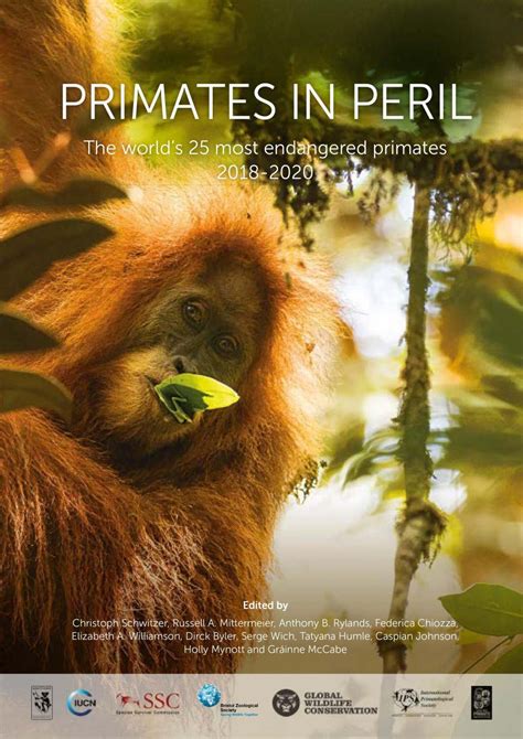 Primates In Peril The Worlds 25 Most Endangered Primates 2018 2020