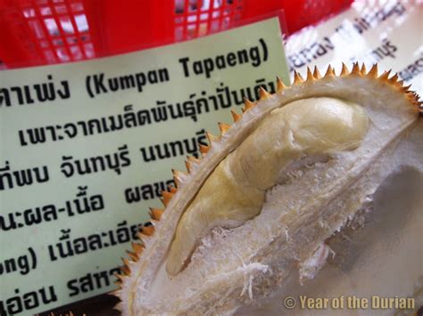 2013 Chanthaburi Durian Festival In The Rain Photo Essay Year Of