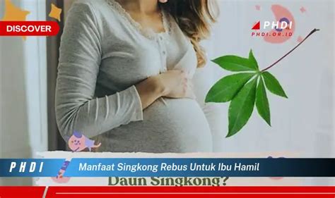 Temukan Manfaat Singkong Rebus Untuk Ibu Hamil Yang Bikin Kamu Penasaran