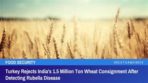 Turkey Rejects India S Million Ton Wheat Consignment After