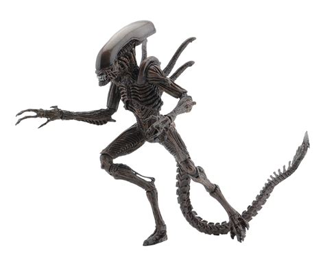 Neca Figurine Aliens Alien Warrior Battle Damage Cm