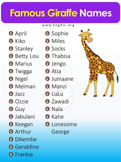 300+ Giraffe Names: (Male, Female) & Baby Name For Giraffe - EngDic