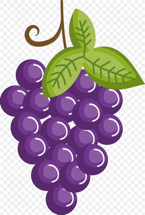 Grape Drawing Cartoon Fruit, PNG, 3001x4449px, Grape, Cartoon, Drawing ...