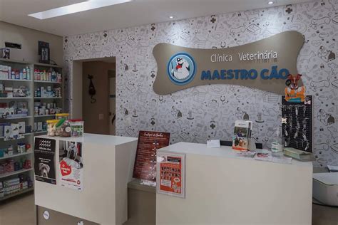 Clinica Veterinária em Curitiba Veterinário 41 99171 1755