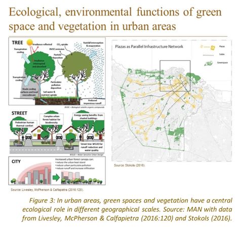 COVID 19 And Unequal Geographies Of Human Rights Why Are Green Public