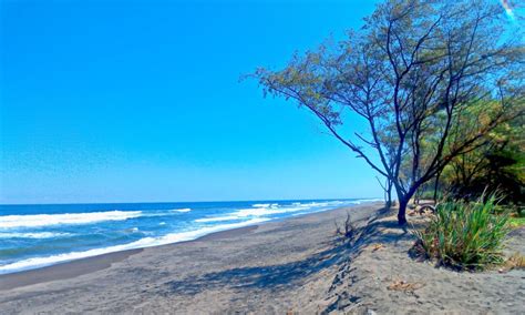 Pantai Goa Cemara Bantul Daya Tarik Aktivitas Liburan Lokasi