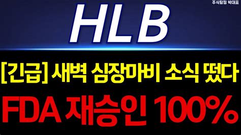 Hlb 에이치엘비 주가전망 긴급 진양곤 회장 실망했다 Fda 재승인 결국엔 Oo Youtube