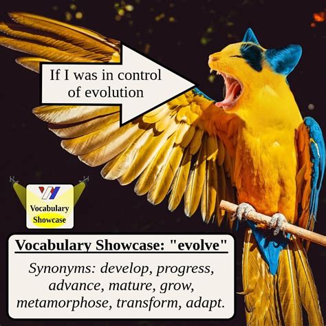 Synonyms For Evolve Vocabulary Showcase — Wright English