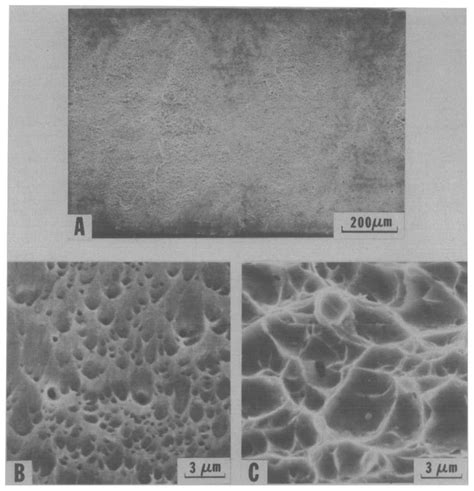 The Fracture Surface Of A Plane Strain Tensile Specimen Of An