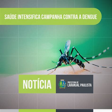 Saúde Intensifica Campanha Contra Dengue Prefeitura Do Município De