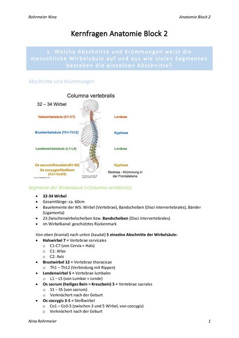 Anatomie Block Fragen Gesamt Studocu