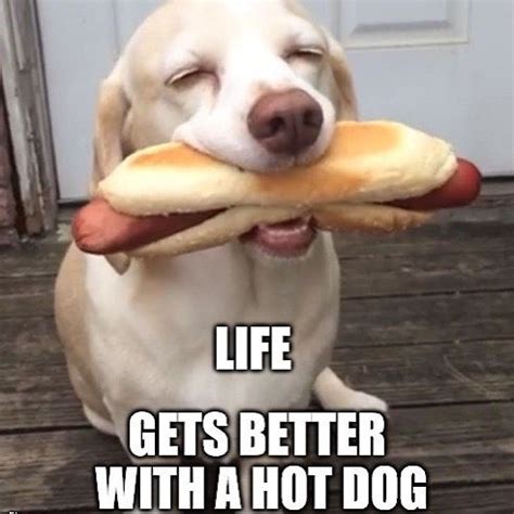 Hot Dawgs Make Everything Better Especially When It S Cold Out Like It Is Today