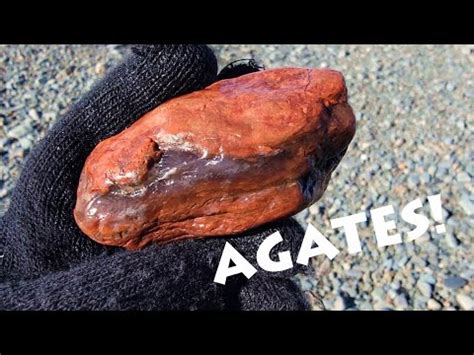 Looking For Agates Rockhounding In February At The Seashore Youtube