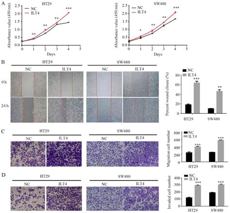 Immunoglobulinlike Transcript And Human Leukocyte Antigeng