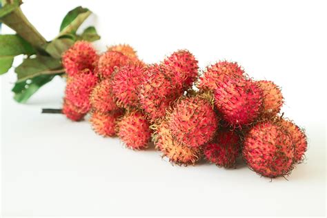 Rambutan Taxonomic Name Nephelium Lappaceum Is A Medium Sized Tropical