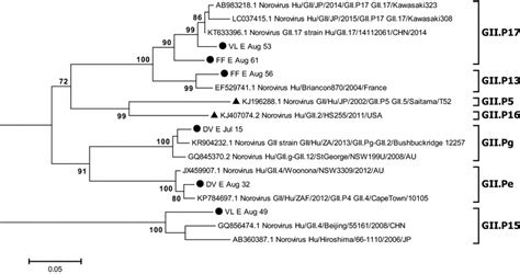 Neighbour Joining Phylogenetic Tree Of Partial Rdrp Sequences 251 Bp