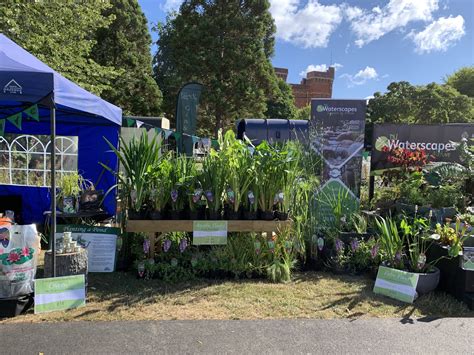 Taunton Flower Show 2022 - DU Waterscapes