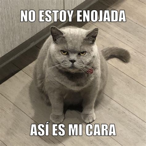 Miácoles No Estoy Enojada Así Es Mi Cara Funny Spanish Memes Spanish