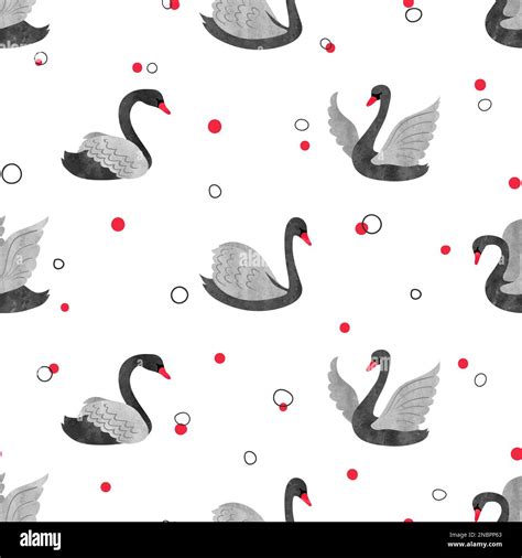 Swans Wallpaper Swan Pattern Hi Res Stock Photography And Images Alamy