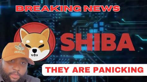 Shiba Inu Coin SHIBA About To Get A Huge Boost In New Utility YouTube