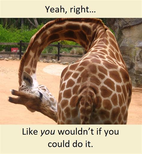 Why Giraffes Have Long Necks Meme By Trw60 Memedroid