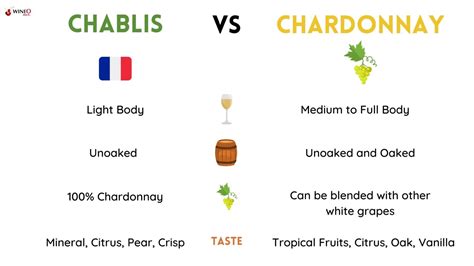 Best Chablis For Every Wine Lover And Wine Drinker