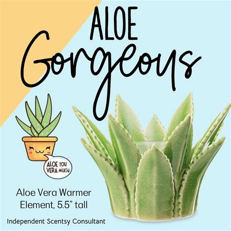 Aloe Vera Warmer