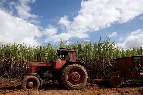 Cuba S Sugar Industry Headed Toward Worst Season Ever As Production