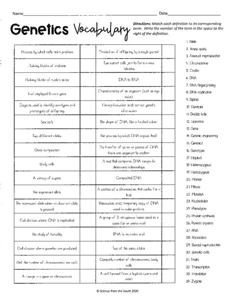 Vocabulary Concept Map On Genetics 5