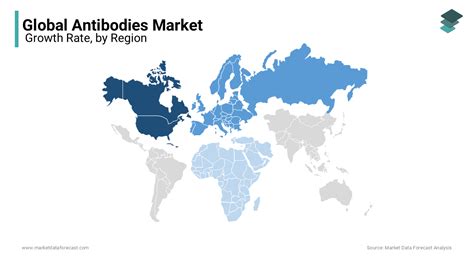 Antibodies Market Size Share Trends And Growth Report 2032