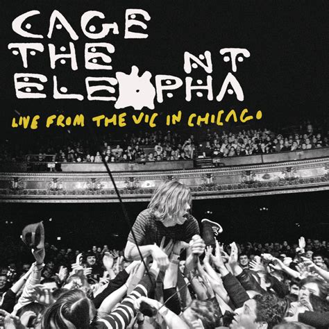 Shake Me Down Live From The Vic In Chicago Song And Lyrics By Cage