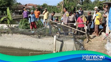 Warga Tulungagung Ditemukan Tewas Di Kolam Ikan Diduga Tersengat Listrik