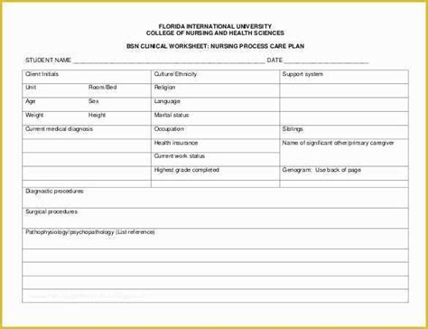 Free Templates for Care Maps Of Nursing Care Plan Templates 20 Free ...