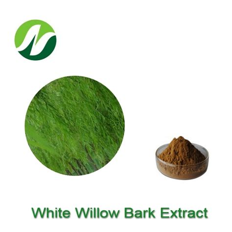 Wholesale Chinese Factory Salicin By Hplc White Willow Bark