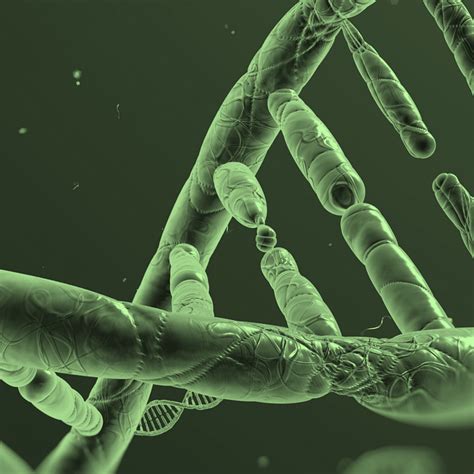 London Calling Nanopore Sequencing Of Ctdna Better Than Short Read