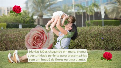 Presentes Para O Dia Das M Es Cursos Online De Plantas Para Cuidar Da