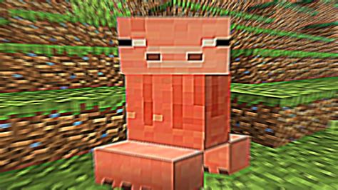 Cursed Images Of Minecraft