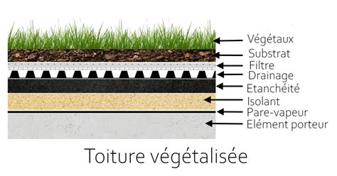 Toit V G Tal Prix Avantages Et Inconv Nients