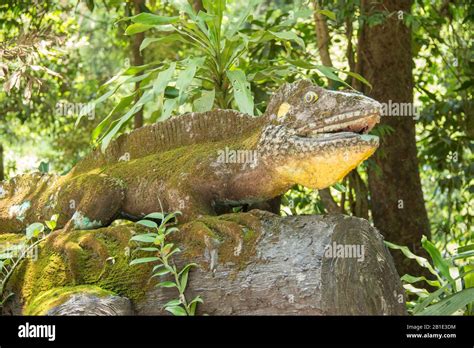 Lizards of thailand hi-res stock photography and images - Alamy