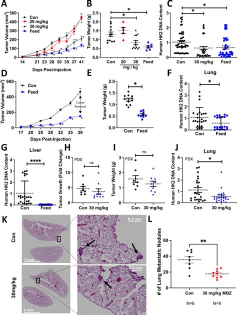 Mebendazole Reduces Tumor Growth And Lung And Liver Metastases A