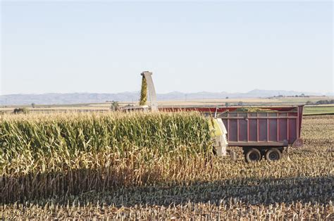 Maximizing the ROI of your silage | Ag Proud