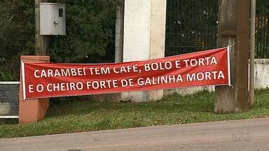 Meio Dia Paraná Ponta Grossa Moradores de Carambeí reclamam de mau