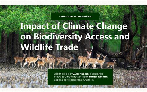 Impact of Climate Change on Biodiversity and Wildlife Trade in Sundarbans