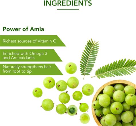 Leo Indiano Amla Para Cabelo Maitri Ayurveda