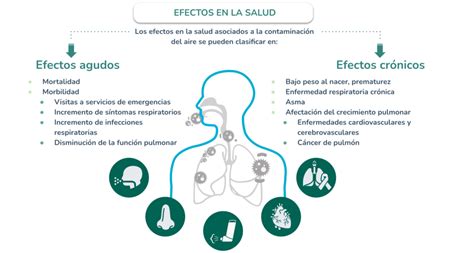 Clase digital 2 Contaminación atmosférica y mitigación Recursos