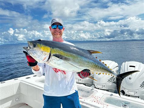 Yellowtail Fish Tuna