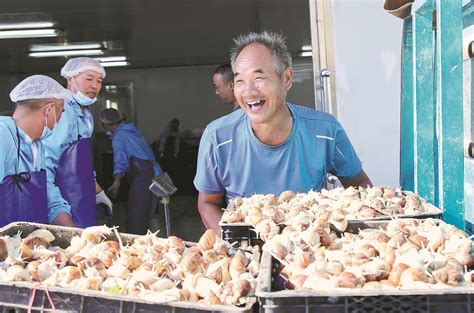 Snails Bring Wealth Of Benefits To Villagers Cn